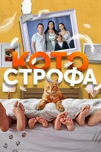 Котострофа 2023 - 2025